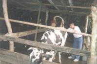 Click Here for details on NDA's Dairy Enterprise Development Program